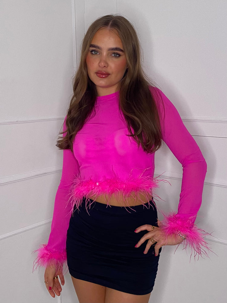 Mesh Feather Detail Top - Cerise