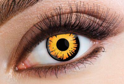 Eyecasions 1 Day Contact Lenses - Bella