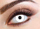 Eyecasions 1 Day Contact Lenses - UV White