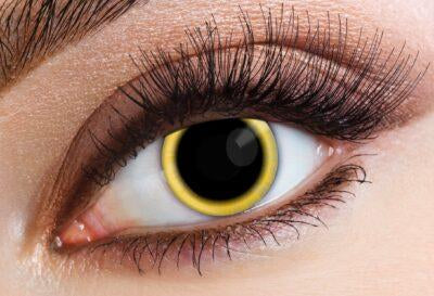 Eyecasions 1 Day Contact Lenses - Eclipse