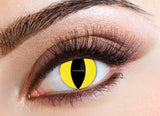Eyecasions 1 Day Contact Lenses - Feline