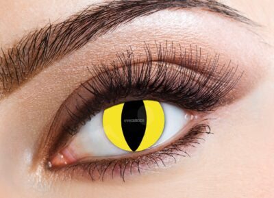 Eyecasions 1 Day Contact Lenses - Feline