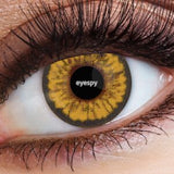 Eyecasions 30 Day Contact Lenses WITH FREE BOTTLE OF SOLUTION - Brown