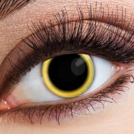 Eye Contact - Eclipse - 16+