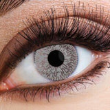 Eyecasions 30 Day Contact Lenses WITH FREE BOTTLE OF SOLUTION - Grey