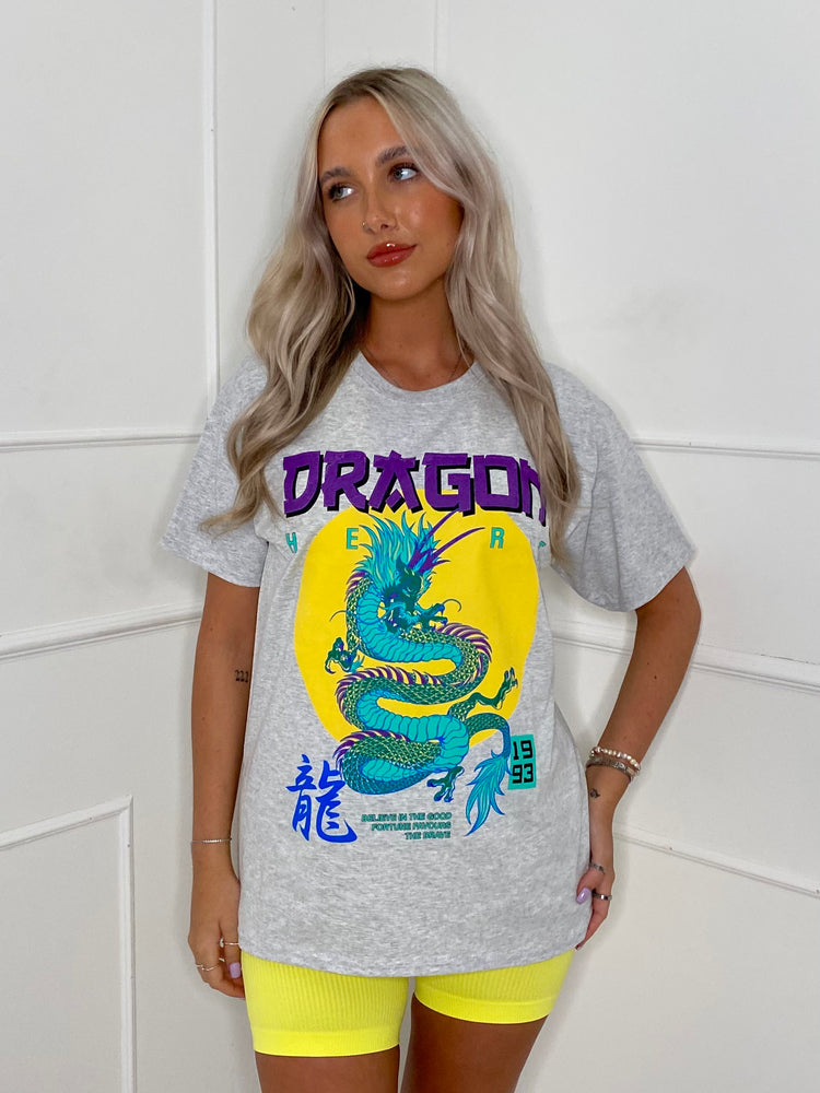 Dragon Print T-Shirt - Grey