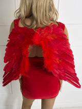Feather Wings - Red