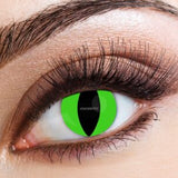 Eye Contact - Raptor - 16+
