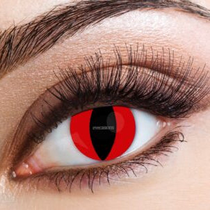 Eye Contact -  Red Cat - 16+