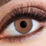 Eyecasions 30 Day Contact Lenses WITH FREE BOTTLE OF SOLUTION - Pure Hazel